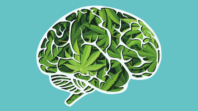 brain-of-cannabis